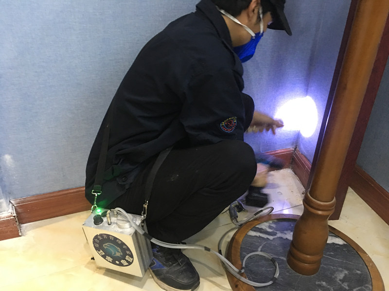 ��ׯ���Ϸ���