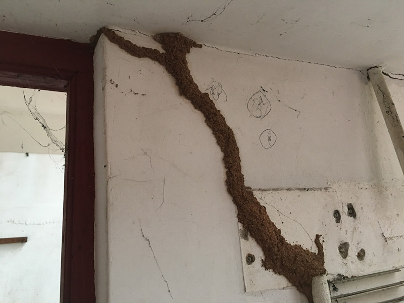 �������Ϸ���