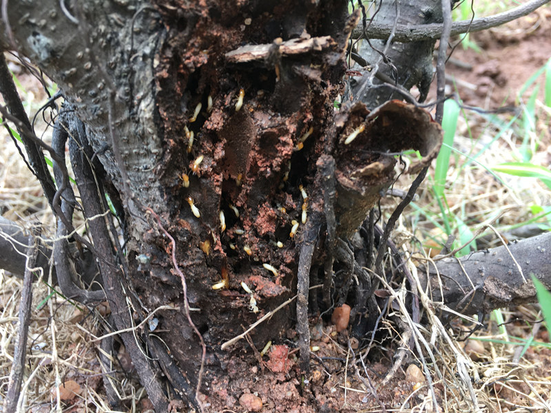 «�����Ϸ���