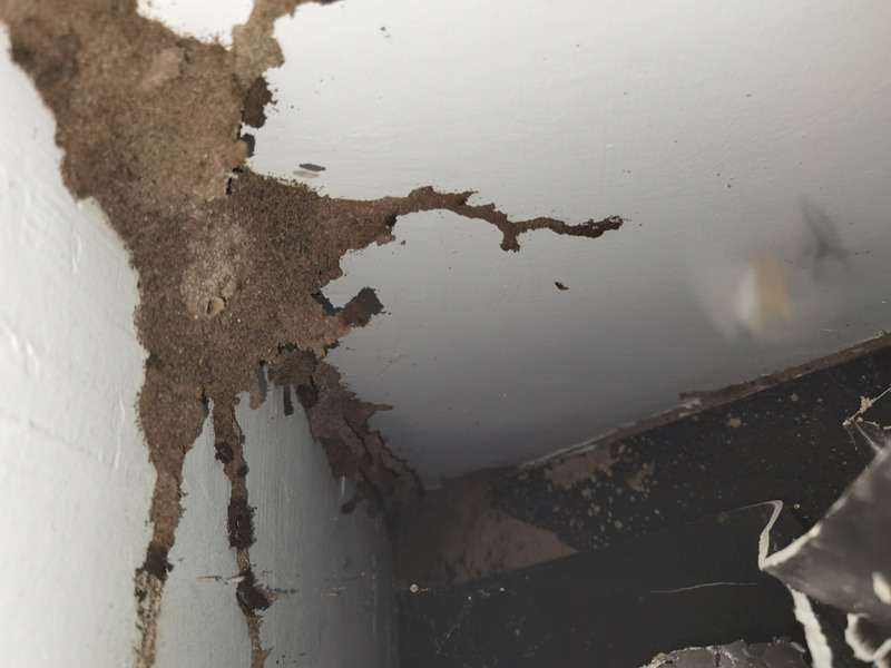 ��خɳͷ���Ϸ���