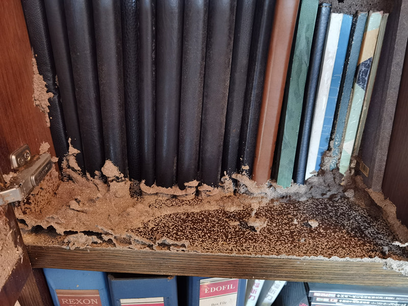 ��خ�Ӵ���Ϸ���