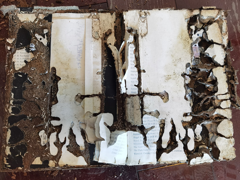 ����������Ϸ���