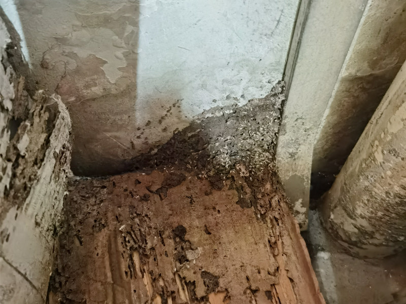 ������ް��Ϸ���