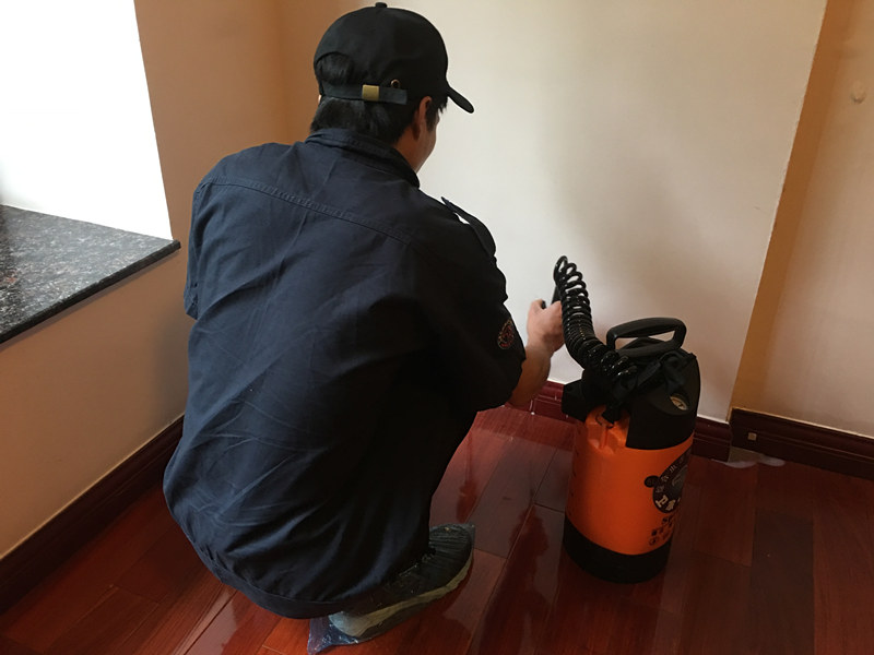 ����ʨ����Ϸ���