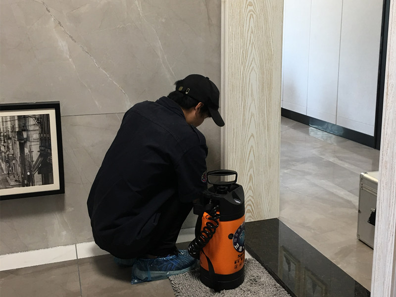 �ܸھ������Ϸ���