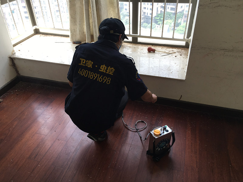 �����������Ϸ���