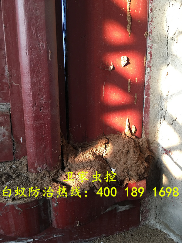 ������Ͱ�����ɱ����