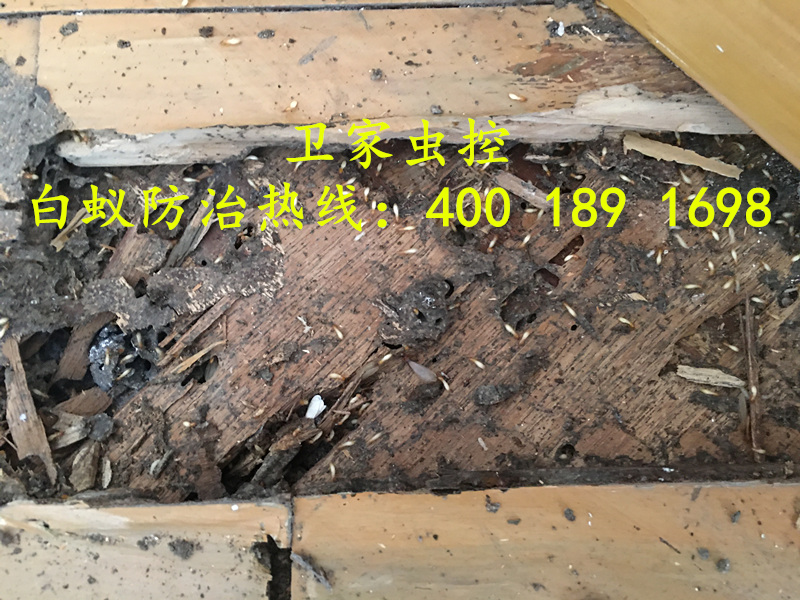 ˳���ݹ������ɱ����