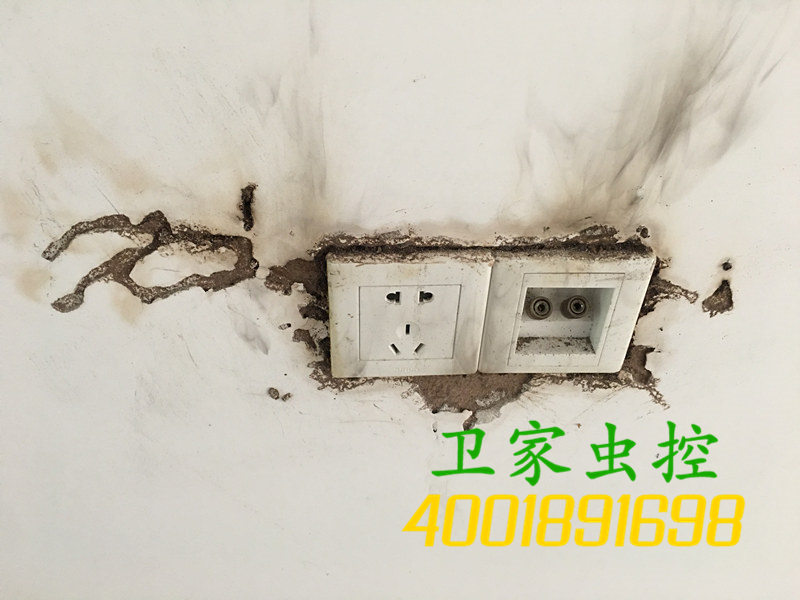 ��Զ��԰��Ϸ��ι�˾��ʲô�ǰ���?