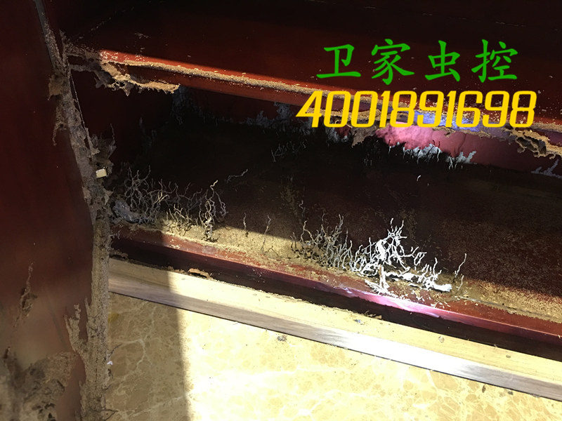 ��Զ������ɱ���Ϲ�˾���������ܰ���Σ����Ϊ���ص�ʡ�ڳ���֮һ