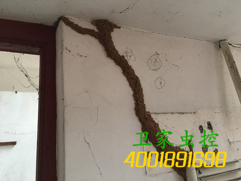 ��Զ���ݰ��Ϸ��ι�˾���Ը����ϵ������취