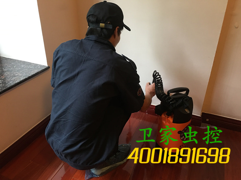 高要大湾消灭清理白蚁防治公司,白蚁与蚂蚁的区别吗?