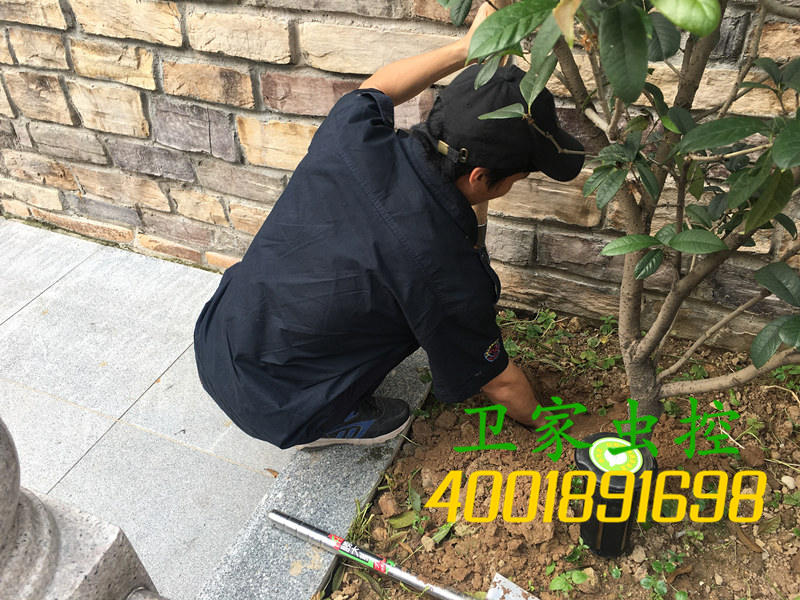 高要活道白蚁防治所公司,别墅花园春季白蚁防治方法!